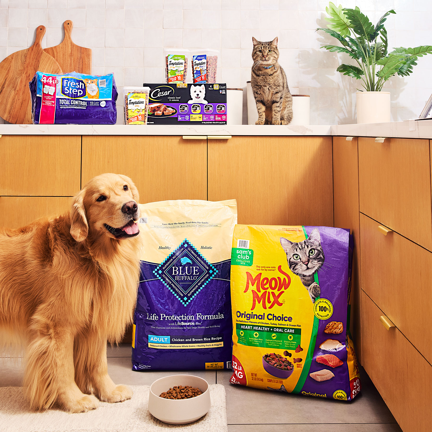 SC_May2025ISB_MAP_PetMonth_0765_022624